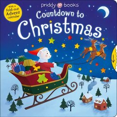 Countdown To Christmas цена и информация | Книги для самых маленьких | pigu.lt