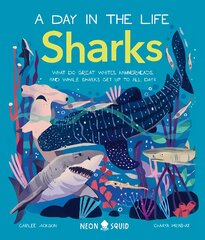 Sharks (A Day in the Life): What Do Great Whites, Hammerheads, and Whale Sharks Get Up To All Day? цена и информация | Книги для подростков и молодежи | pigu.lt