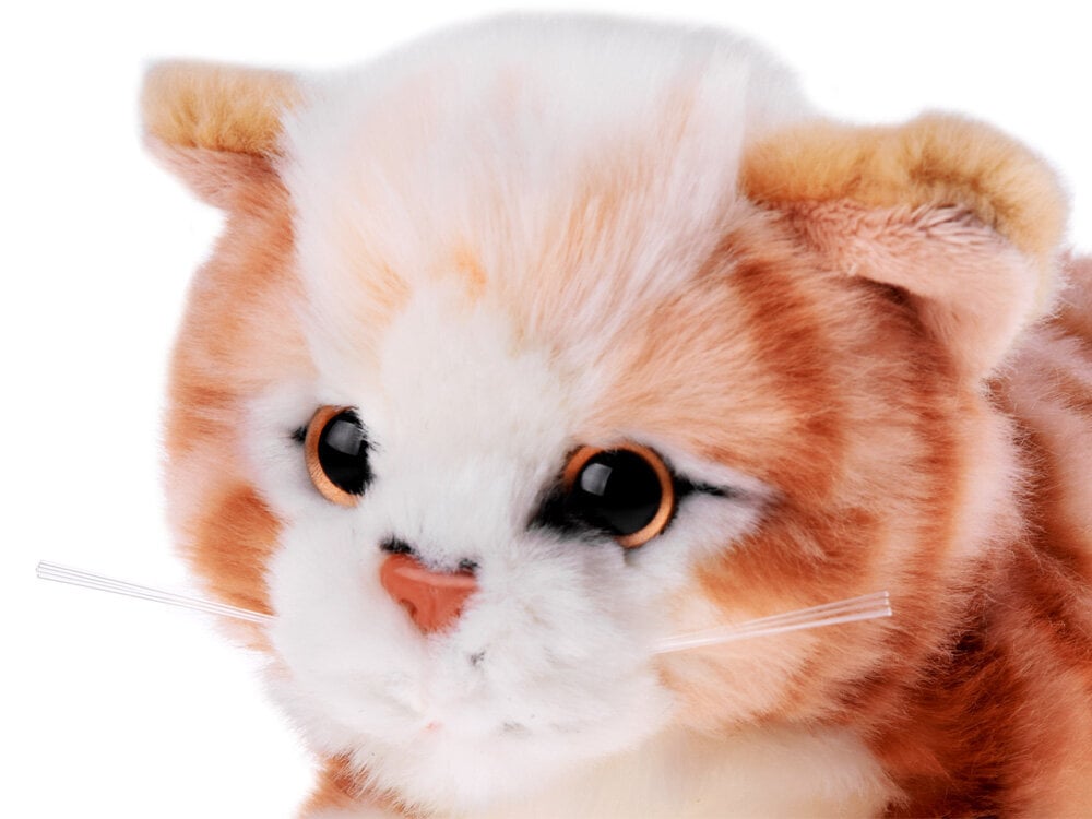 Minkštas žaislas Beppe Raudona dedeklinė katė, 30 cm цена и информация | Minkšti (pliušiniai) žaislai | pigu.lt