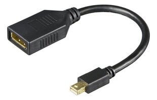 Deltaco MDP-DP1-K, Mini DP/DP, 0.2 m kaina ir informacija | Adapteriai, USB šakotuvai | pigu.lt
