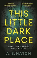 This Little Dark Place Main kaina ir informacija | Fantastinės, mistinės knygos | pigu.lt