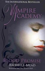 Vampire Academy: Blood Promise (book 4) цена и информация | Книги для подростков  | pigu.lt