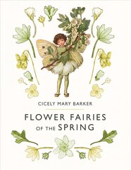 Flower Fairies of the Spring цена и информация | Книги для подростков и молодежи | pigu.lt
