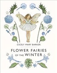 Flower Fairies of the Winter цена и информация | Книги для самых маленьких | pigu.lt