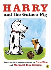 Harry and the Guinea Pig kaina ir informacija | Knygos mažiesiems | pigu.lt