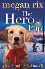Hero Pup kaina ir informacija | Knygos paaugliams ir jaunimui | pigu.lt