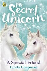 My Secret Unicorn: A Special Friend цена и информация | Книги для подростков и молодежи | pigu.lt