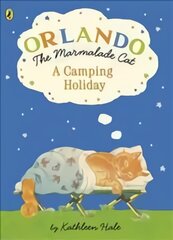 Orlando the Marmalade Cat: A Camping Holiday цена и информация | Книги для малышей | pigu.lt