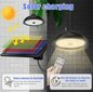 Dvigubas lauko šviestuvas su saulės baterija ir judesio davikliu kaina ir informacija | Lauko šviestuvai | pigu.lt