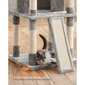 Feandrea kačių draskyklė PCT019W01, 168 cm, šviesiai pilka kaina ir informacija | Draskyklės | pigu.lt