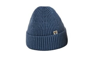 Unisex kepurė paaugliams CDW-0003, dydis 54-58, mėlyna kaina ir informacija | Žiemos drabužiai vaikams | pigu.lt