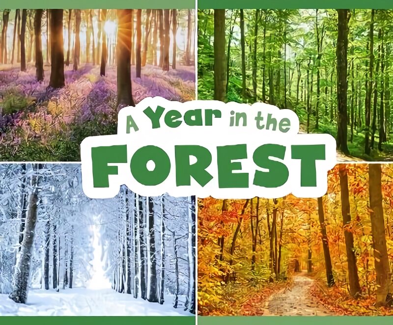 Year in the Forest kaina ir informacija | Knygos mažiesiems | pigu.lt