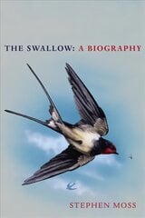 Swallow: A Biography (Shortlisted for the Richard Jefferies Society and White Horse Bookshop Literary Award) kaina ir informacija | Knygos apie sveiką gyvenseną ir mitybą | pigu.lt