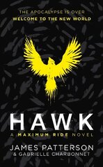 Hawk: A Maximum Ride Novel: (Hawk 1) цена и информация | Книги для подростков  | pigu.lt