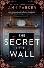 The Secret in the Wall: A Novel kaina ir informacija | Fantastinės, mistinės knygos | pigu.lt