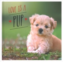 Love is a Pup: A Dog-Tastic Celebration of the World's Cutest Puppies цена и информация | Книги по фотографии | pigu.lt