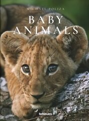 Baby Animals Revised edition kaina ir informacija | Fotografijos knygos | pigu.lt