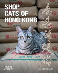 Shop Cats of Hong Kong цена и информация | Книги по фотографии | pigu.lt