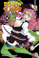 Demon Slayer: Kimetsu no Yaiba, Vol. 14 цена и информация | Фантастика, фэнтези | pigu.lt