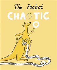 Pocket Chaotic kaina ir informacija | Knygos mažiesiems | pigu.lt