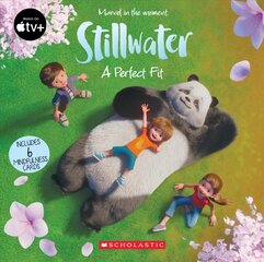 Stillwater: A Perfect Fit цена и информация | Книги для подростков и молодежи | pigu.lt