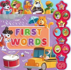 First Words цена и информация | Книги для самых маленьких | pigu.lt