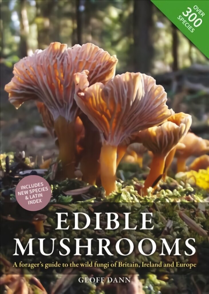 Edible Mushrooms: A Forager's Guide to the Wild Fungi of Britain, Ireland and Europe kaina ir informacija | Knygos apie sveiką gyvenseną ir mitybą | pigu.lt