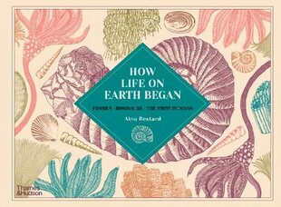 How Life on Earth Began: Fossils * Dinosaurs * The First Humans kaina ir informacija | Knygos paaugliams ir jaunimui | pigu.lt