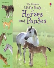 Little Book of Horses and Ponies цена и информация | Книги для подростков и молодежи | pigu.lt