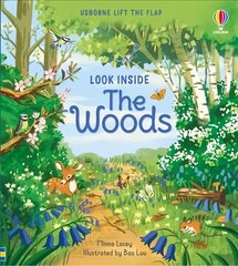 Look Inside the Woods цена и информация | Книги для малышей | pigu.lt