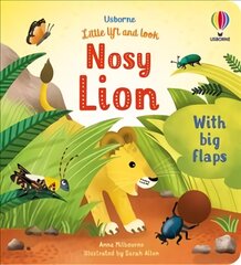 Little Lift and Look Nosy Lion цена и информация | Книги для малышей | pigu.lt