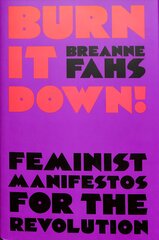 Burn It Down!: Feminist Manifestos for the Revolution kaina ir informacija | Socialinių mokslų knygos | pigu.lt