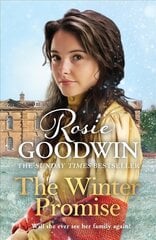 Winter Promise: A perfect cosy Victorian saga from the Sunday Times bestselling author цена и информация | Фантастика, фэнтези | pigu.lt