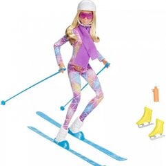 Mattel - Barbie Winter Sports Skier Doll kaina ir informacija | Žaislai mergaitėms | pigu.lt