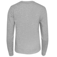 Calvin Klein moteriškas džemperis 48889, pilkas цена и информация | Женские толстовки | pigu.lt