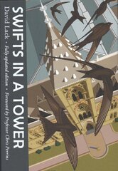 Swifts in a Tower kaina ir informacija | Fantastinės, mistinės knygos | pigu.lt