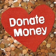 Donate Money цена и информация | Книги для подростков  | pigu.lt
