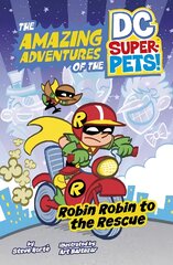 Robin Robin to the Rescue цена и информация | Книги для подростков  | pigu.lt