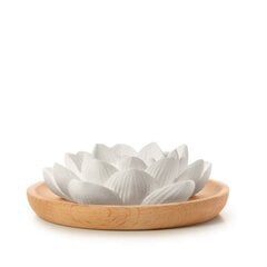 Namų kvapų indas Primavera Lotus Flower Aroma Fragrance Stone kaina ir informacija | Namų kvapai | pigu.lt