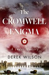 Cromwell Enigma: A Tudor Mystery kaina ir informacija | Fantastinės, mistinės knygos | pigu.lt