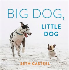 Big Dog, Little Dog цена и информация | Книги по фотографии | pigu.lt