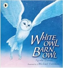 White Owl, Barn Owl цена и информация | Книги для подростков  | pigu.lt