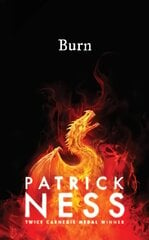 Burn цена и информация | Книги для подростков  | pigu.lt