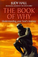 Book of Why: Understanding Your Soul's Journey kaina ir informacija | Saviugdos knygos | pigu.lt