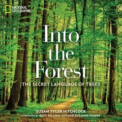 Into the Forest: The Secret Language of Trees цена и информация | Книги по фотографии | pigu.lt