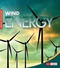 Wind Energy цена и информация | Книги для подростков  | pigu.lt