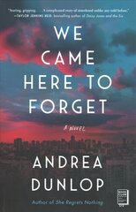 We Came Here to Forget: A Novel цена и информация | Фантастика, фэнтези | pigu.lt