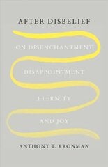 After Disbelief: On Disenchantment, Disappointment, Eternity, and Joy цена и информация | Духовная литература | pigu.lt