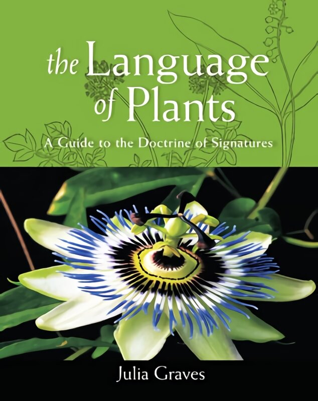 Language of Plants: A Guide to the Doctrine of Signatures kaina ir informacija | Saviugdos knygos | pigu.lt