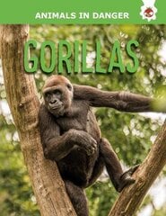 Gorillas цена и информация | Книги для подростков и молодежи | pigu.lt